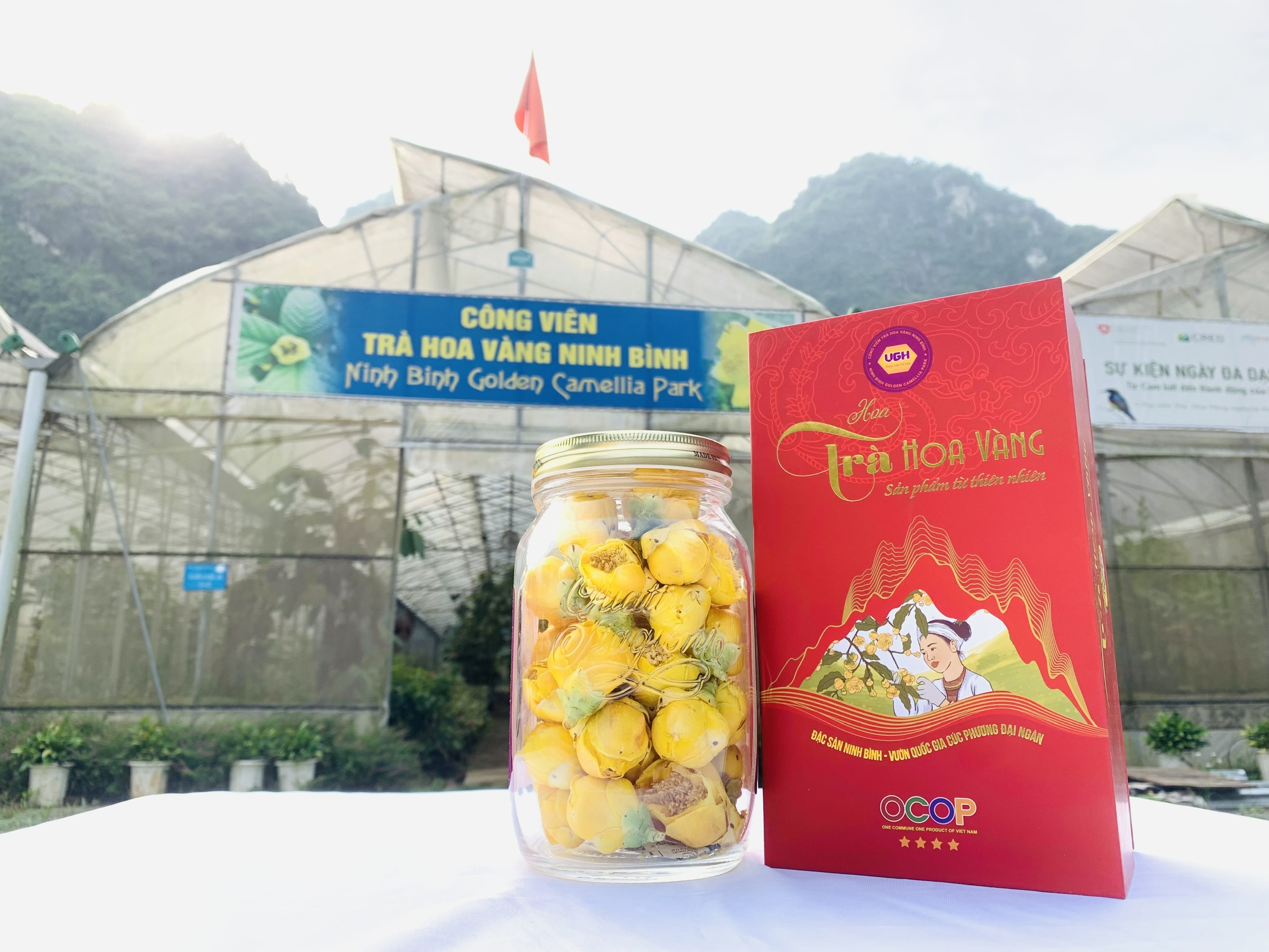 Trà hoa vàng Vũ Gia thượng hạng 50gr